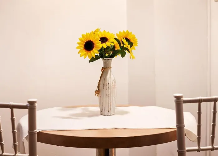 Diac Apartment Center Brasov