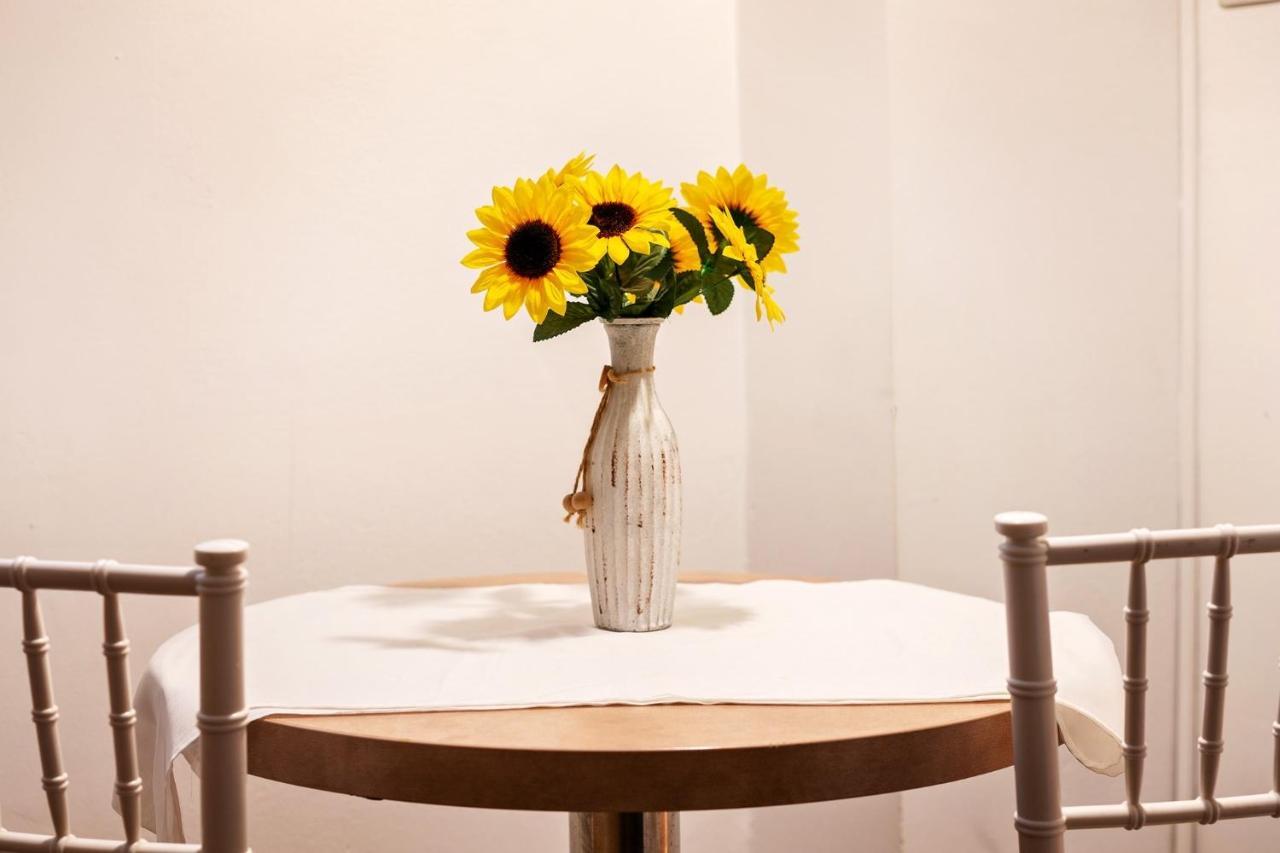 Apartment Diac Center